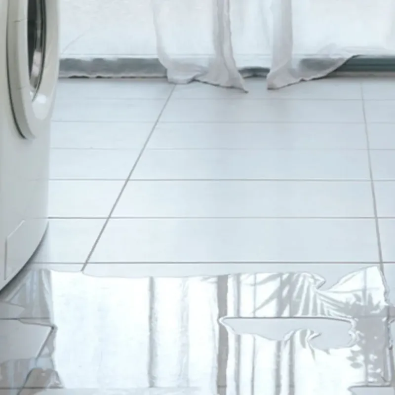Appliance Leak Cleanup in Wellington, KS