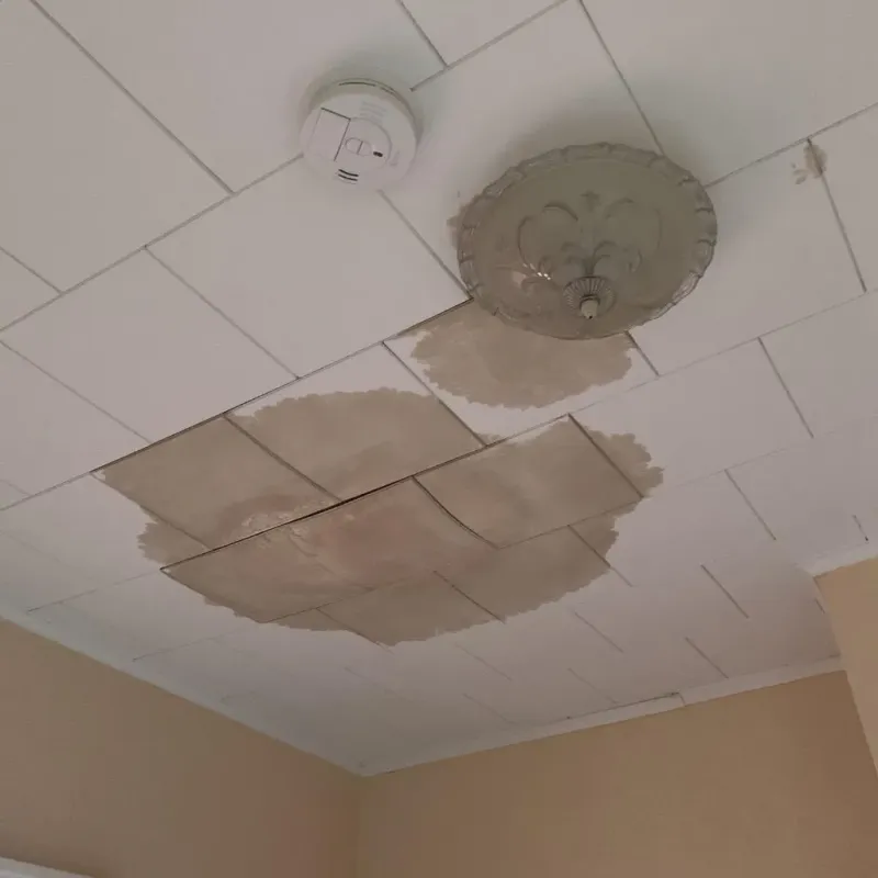 Ceiling Water Damage Repair in Wellington, KS