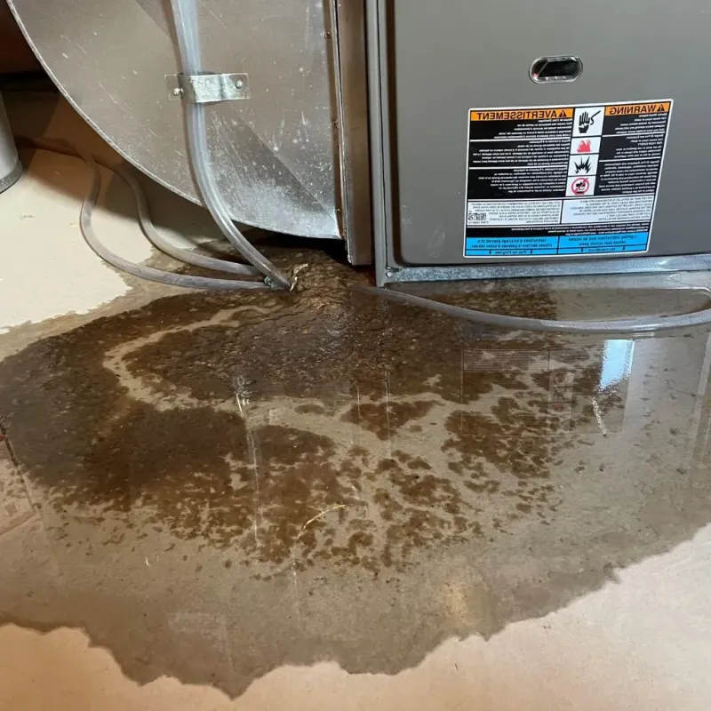 Pipe Burst and Leak Restoration in Wellington, KS