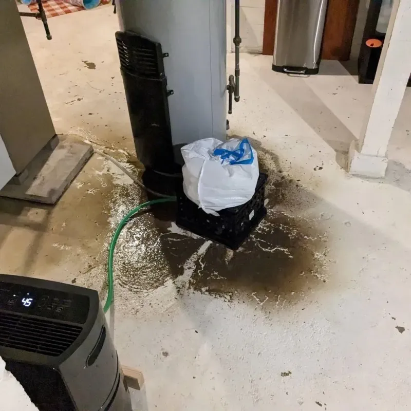 Sewage Backup Cleanup Service in Wellington, KS